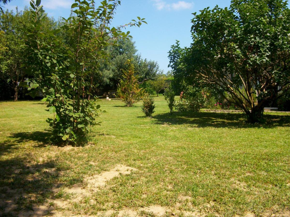 Domaine De Monein Bed & Breakfast Saint-Andre-de-Cubzac Ngoại thất bức ảnh